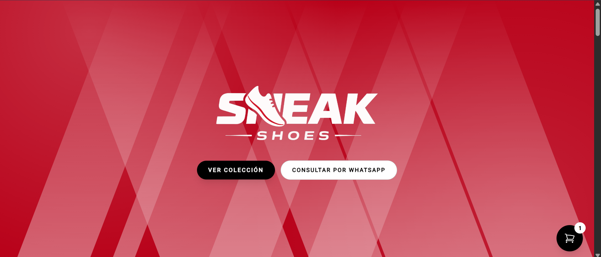 Sneak Shoes - Tienda Online